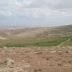 “Poisoning ‘the Holy Land.’”