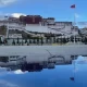 “From Xizang and Qinghai.”