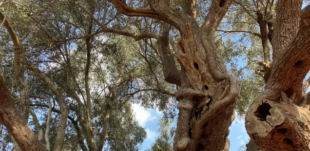 “‘We cherish life.’”