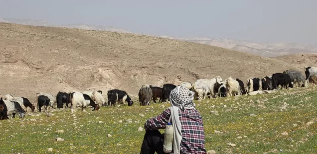 “The ethnic-cleansing of Deir Alla.”