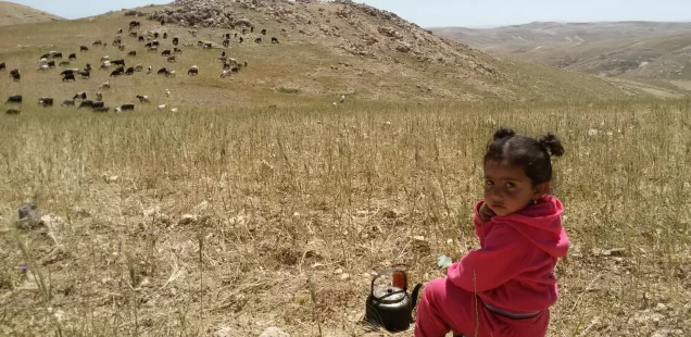 “Settler madness.”