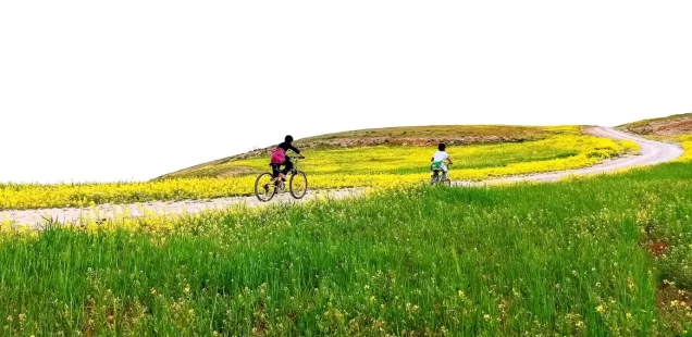 “Drawing as resistance.”