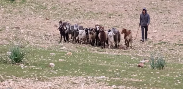 “Hope, ‘an act of resistance.’”